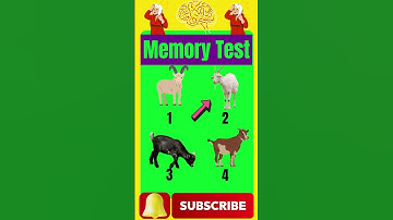 স্মৃতিশক্তি পরীক্ষা 12 | Memory Test | Riddles & Puzzles for IQ Test | অবিদিত জগৎ #shorts