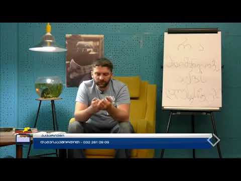 გადაცემა აკვარიუმი - რა მნიშვნელობა აქვს დღესასწაულებს