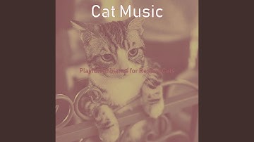 Pulsating Moods for Cats