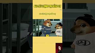 Thua mỗi cây quạt #cheems #funny #viral #memes #xuhuongyoutube
