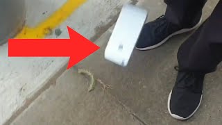 Kid Breaks Iphone Lol