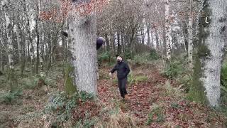 Abseil and Swing FAIL #arborist #fail #fails