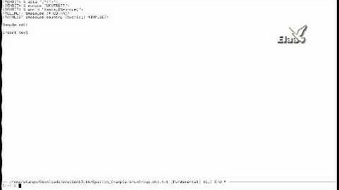 Basic Tutorial for Epsilon Programming Editor