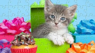 Cute Gray Cat 100 Piece Jigsaw Puzzle HD Gameplay screenshot 5
