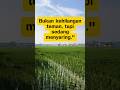 Lingkaran Pertemanan #shorts