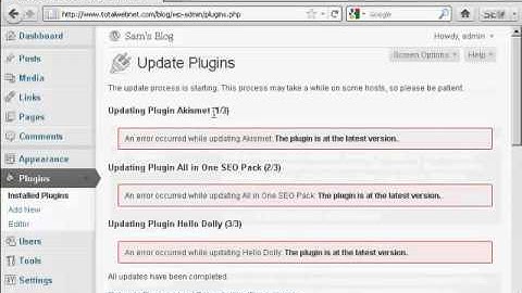 Video 9 - How to Upgrade or Delete Plugins Automatically.