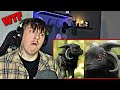 7 Mythical Creatures That Existed in Real Life | REACTION