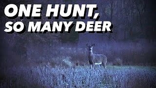 DEER HUNTING with 350 LEGEND (We saw SO MANY DEER!) - KW&W