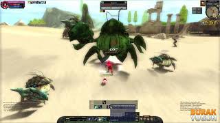 Silkroad Online - Collect Crab Shells Asia Minor Outpost 1 Quest