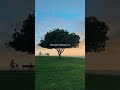 Meri Good Morning Tu Hai | 💫🌙 Aesthetic Status | Chill Vibezs