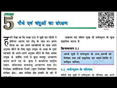 वीडियो: वनों की कटाई से पौधे कैसे प्रभावित होते हैं?