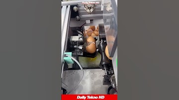 Satisfying Egg Cracking Machine 🥚 #FoodProcessing