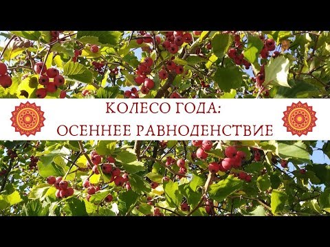 Колесо Года: Осеннее равноденствие