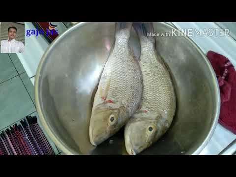 Ikan Goreng Katamba