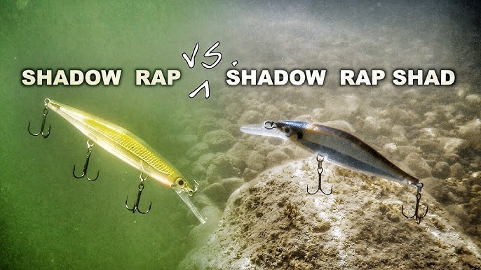 Rapala Shadow Rap Shad Deep jerkbait