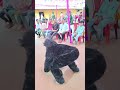 bhalu ka chapal he#short video#entertainment video