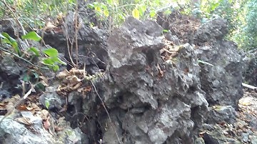 Meghalaya Limestone