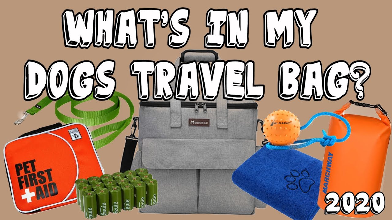 What's in My Dog's Travel Bag for the Car Updated 2020 YouTube