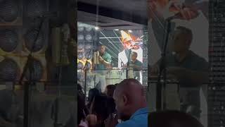 Rubio acordeón en Lawrence MA #15