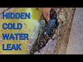 Hidden cold water leak inside this property