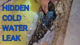 HIDDEN Cold water leak INSIDE this property!!