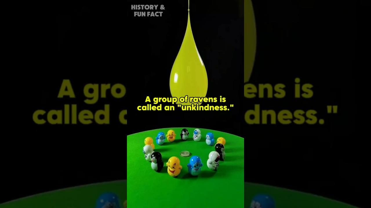 A group of ravens is called an 