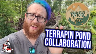 TERRAPIN POND! - Garden State Tortoise Certified Aquascape Contractor Collaboration!