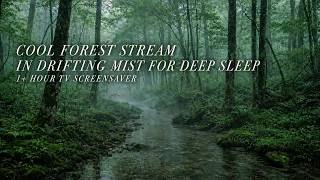 Cool Forest Stream in Drifting Mist for Deep Sleep
