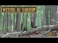 TURKEY AT 10 YARDS!!! - Last Attempt In WV | WV Spring Turkey 2021 Episode 4 Part II