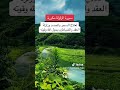 سورة الزلزلة مكررة