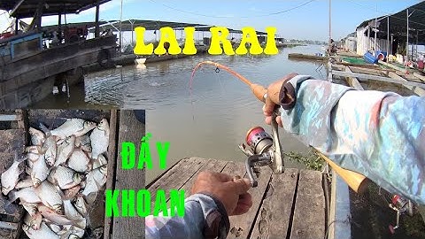 🐟Fishing 293🐟Câu Cá Dảnh Ngoài Bè Dính Cá Lai Rai Cả Ngày Cũng Đầy Khoan🐟