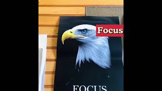 INSTOOK Apex Triad Inspire Motivational Wall Art Set of 3, Focus Discipline Execution, Eagle Lion