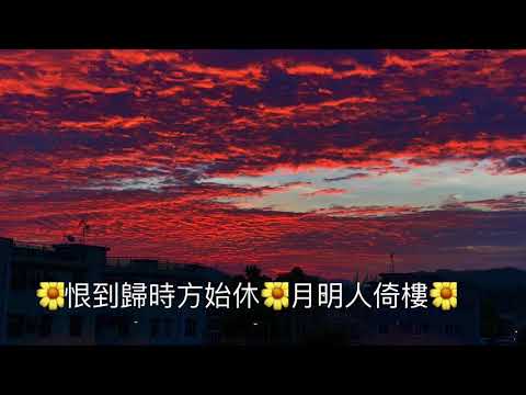 我沒有騙你 鄧麗君（ Teresa Teng）