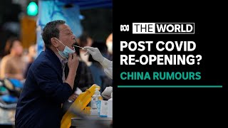 China, HK stocks rebound sharply on unverified social media posts over COVID easing | The World