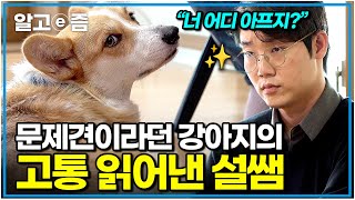 "얼른 병원 가야될 거 같은데요?" 그 누구도 눈치채지 못했다! 문제 행동 고치러 왔다가 표정 굳어진 설쌤｜세상에 나쁜 개는 없다｜알고e즘