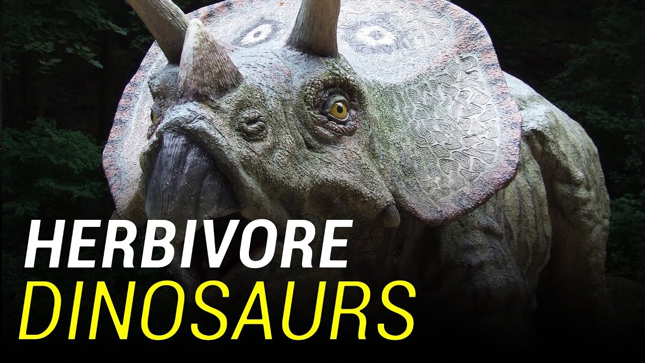 The Herbivores PlantEating Dinosaurs YouTube