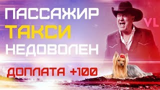 Пассажир такси недоволен доплатой за собаку, в сзт такси Максим Пассажир такси недоволен доплатой за собаку, в сзт такси Максим