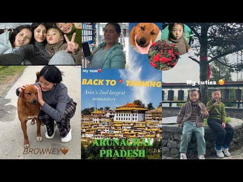 BACK TO TAWANG❤️//📍ARUNACHAL PRADESH🫶🏻🌷#fyp #viral #fypp #tawang #arunachalpradesh 