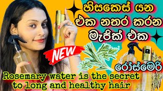 අහුරු පිටින් කොන්ඩේ යන එක නතර කරලා කොන්ඩේ වවන වතුර එක |. Rosemary Water for Hair Growth
