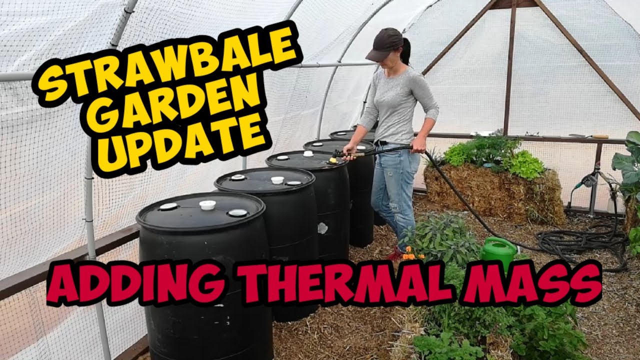 Installing Thermal Mass in our Off grid Greenhouse