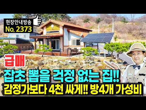 "잡초 뽑을 일 없습니다!" 시원한 전망에 광역상수도·태양광 풀세팅!! 감정가보다 4,000만 원 싸게 던지는 전원주택 매매 | 발품부동산TV