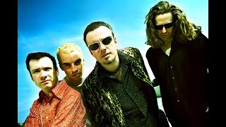 Catherine Wheel - "Flower to hide"