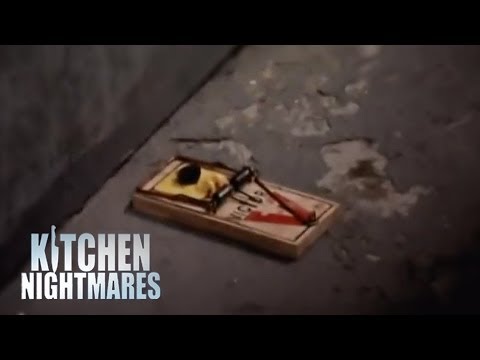 Dead Mouse At Restaurant Door Kitchen Nightmares Dead Mouse At Restaurant Door Kitchen Nightmares