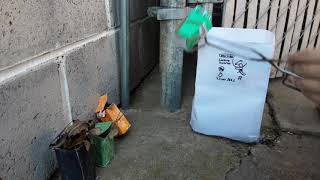 Yard Waste Pickup with Mini Bins 7