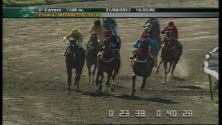 Carr.5 Premio: Interdetto (2016) 31-08-2017