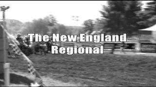 NERC 2010 Teaser