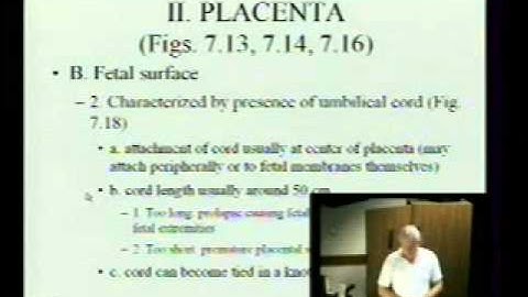 BIO3663 0929 Lec13 Slides 11 42 up to 2920 min