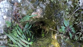 Old Quarry Hike at Citrus Wildlife Management Area
