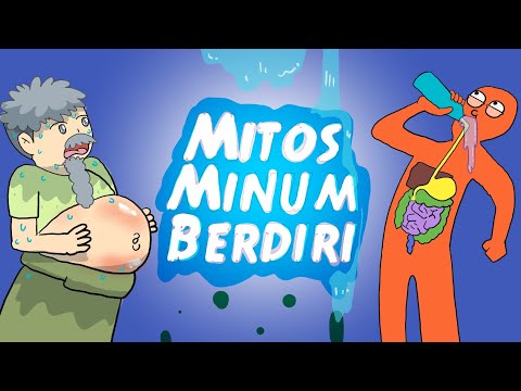 Video: Kebenaran Dan Mitos Tentang Bulu Kuda