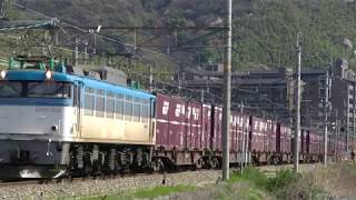 3096レ　EF81-502牽引(2010-04-04)